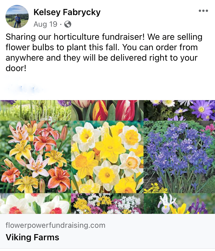 Apicture of a Facebook Post showing flowers grown from bulbs.