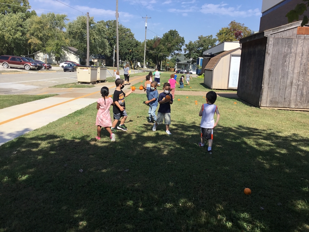 Finding pumpkins