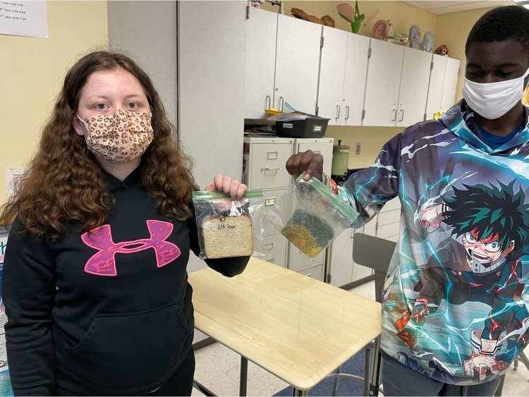 Mrs. Friess Life Science