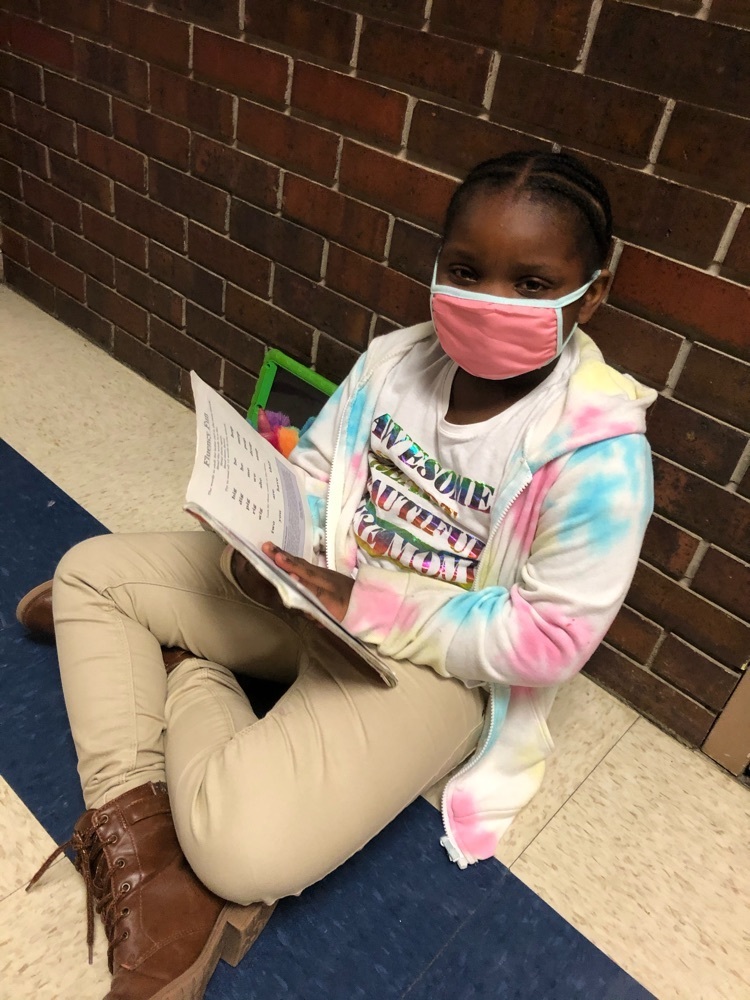 reader