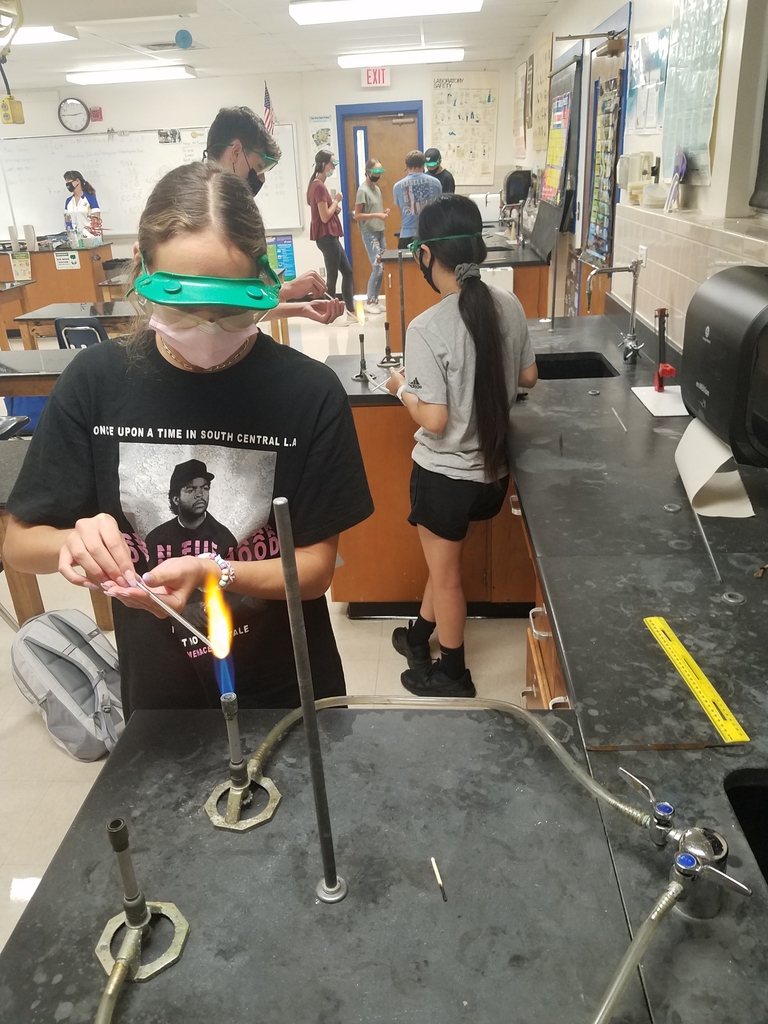 bunsen burner/fire safety lab in Chemistry