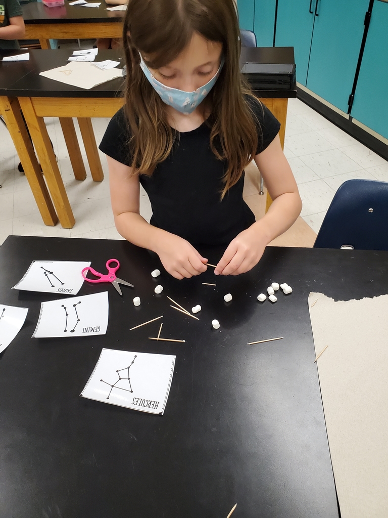 STEAM constellations