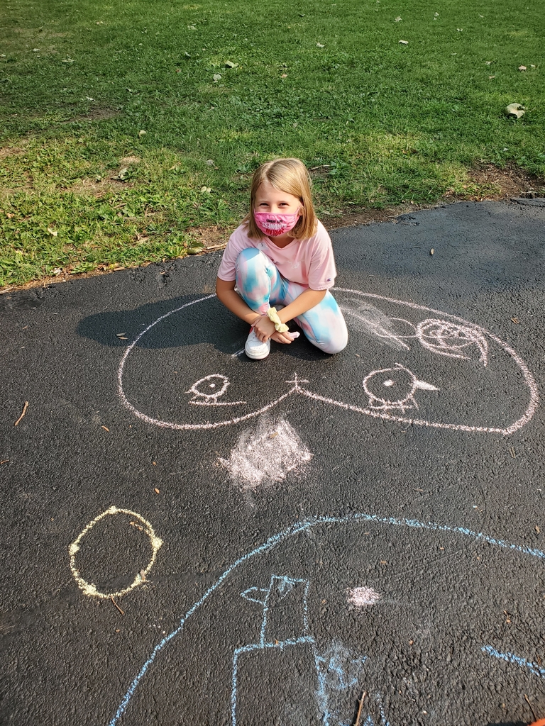 STEAM constellations