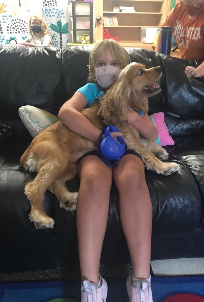 Sophie dog
