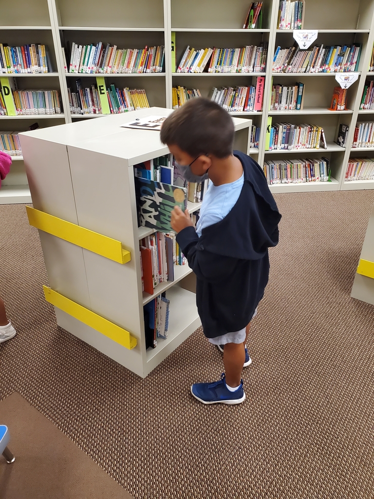 Shelby Library