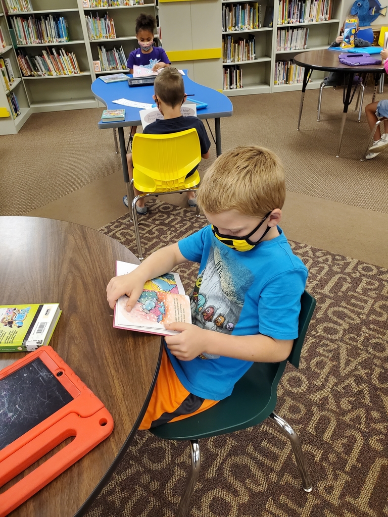 Shelby Library