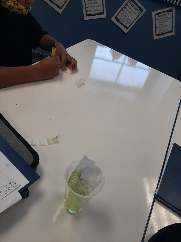 Chlorophyll Science Experiment