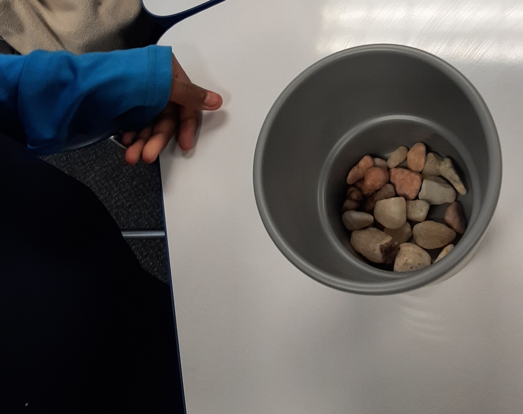 We need a few rocks in the bottom of our pot to help with water drainage.