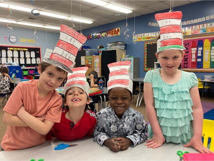 cat in the hat hats