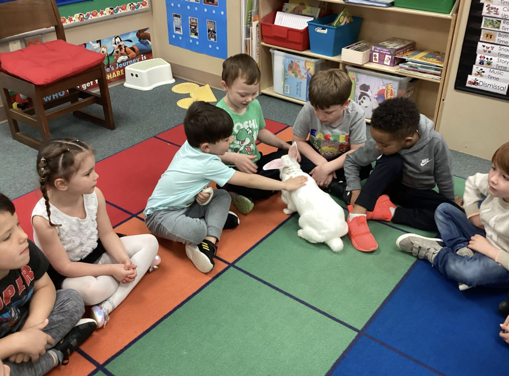 Bunny visit