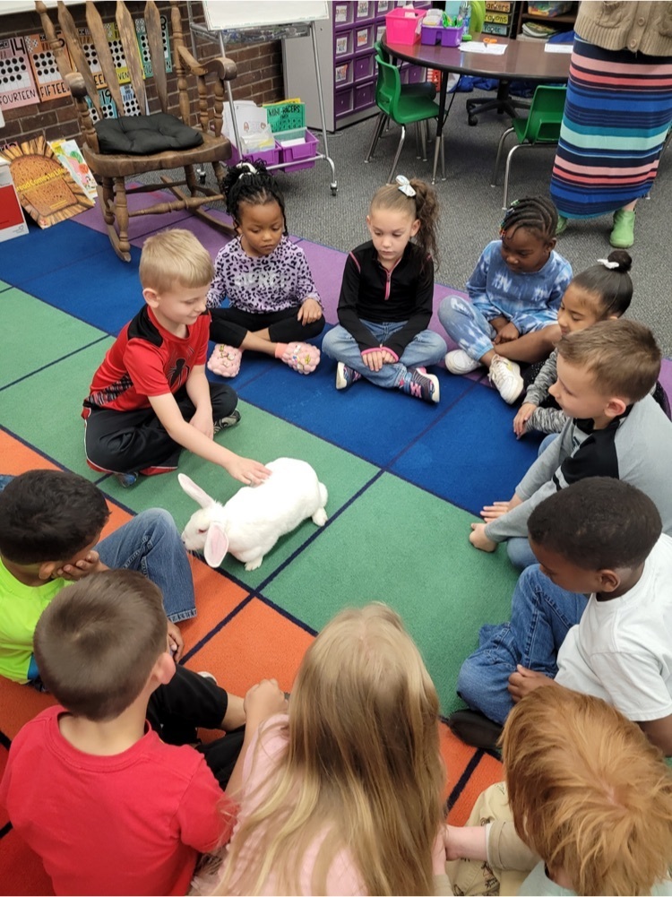 Bunny fun!