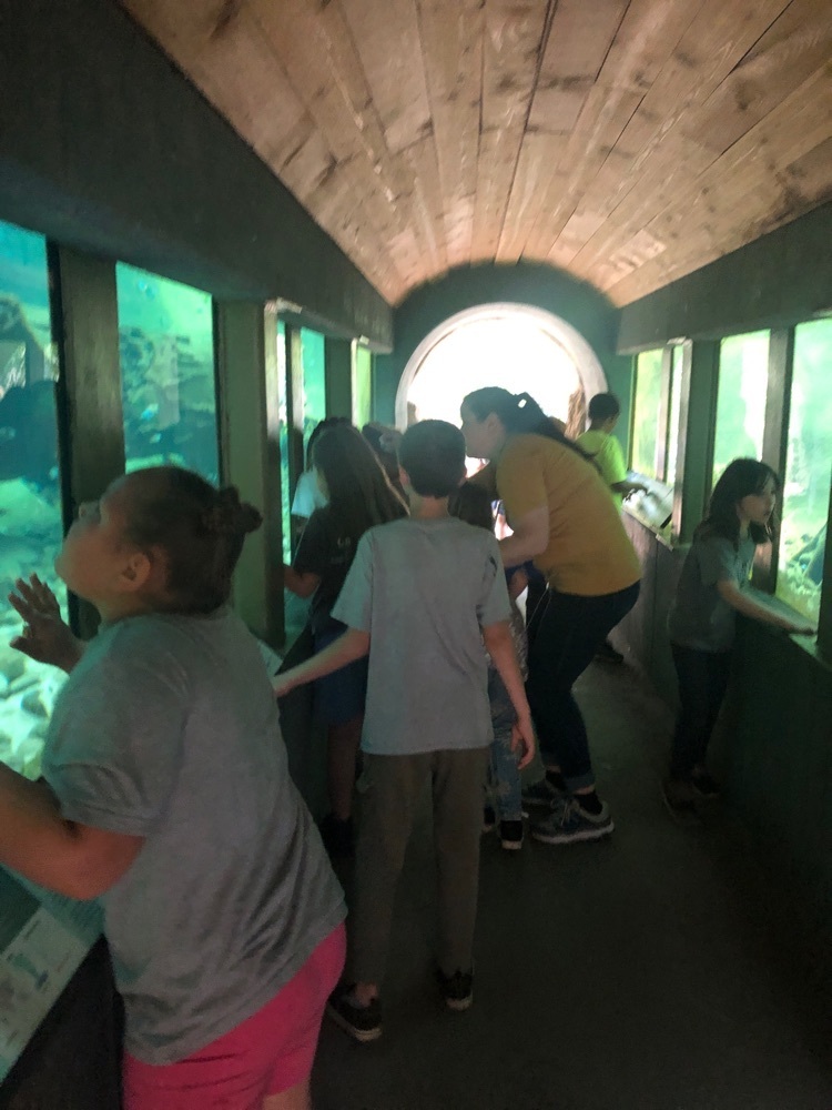 students at the zoo in tunnel