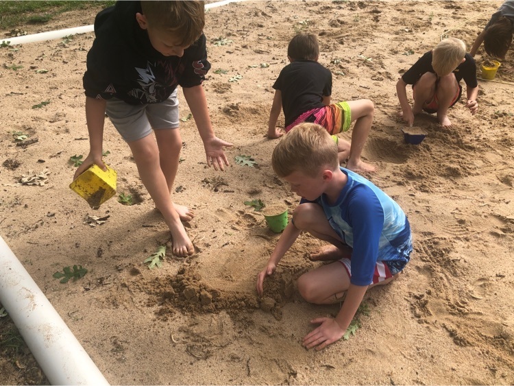 kids playing in the sand