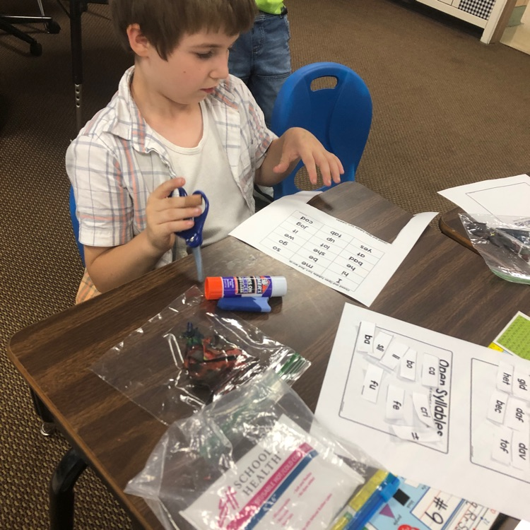 student working on sorting activity 