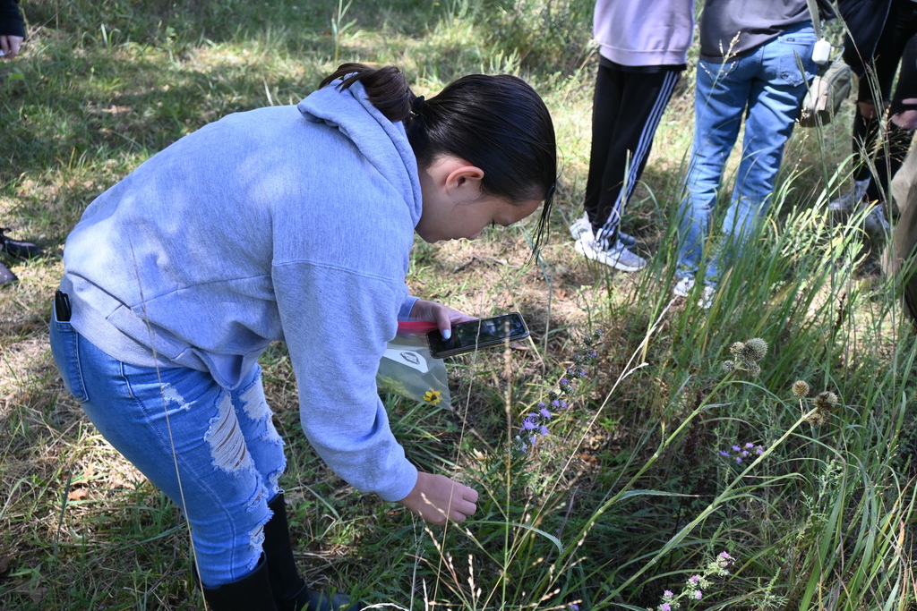 A student takes pictures of plants and gathers specimens.