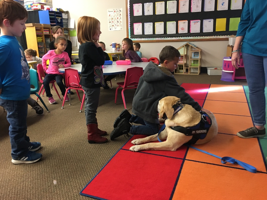 Students watch as another student pets dog 